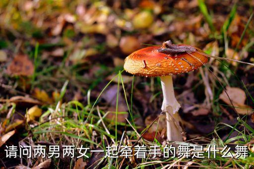 请问两男两女一起牵着手的舞是什么舞