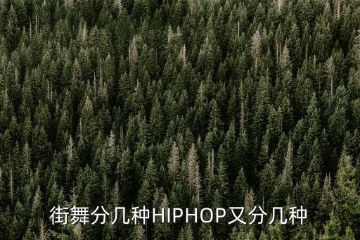 街舞分几种HIPHOP又分几种