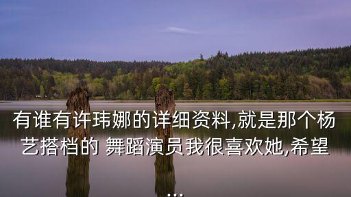 杨艺教跳2017年舞蹈