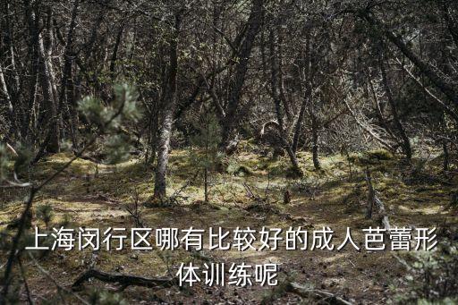  上海闵行区哪有比较好的成人芭蕾形体训练呢