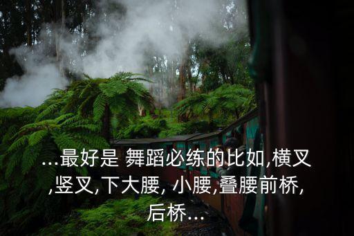 ...最好是 舞蹈必练的比如,横叉,竖叉,下大腰, 小腰,叠腰前桥,后桥...