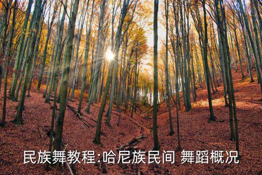 关于猴的儿童舞蹈,猴的动作儿童舞蹈