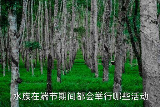  水族在端节期间都会举行哪些活动