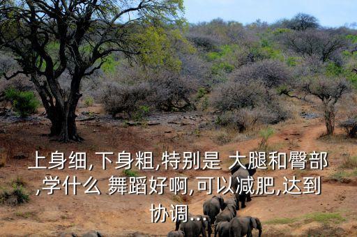 上身细,下身粗,特别是 大腿和臀部,学什么 舞蹈好啊,可以减肥,达到协调...