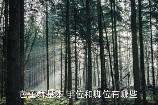 芭蕾舞基本 手位和脚位有哪些