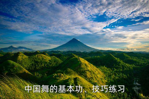 舞蹈生甩腰图片,舞蹈三叉一腰标准图片
