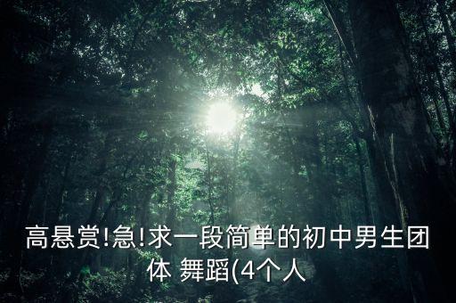 高悬赏!急!求一段简单的初中男生团体 舞蹈(4个人