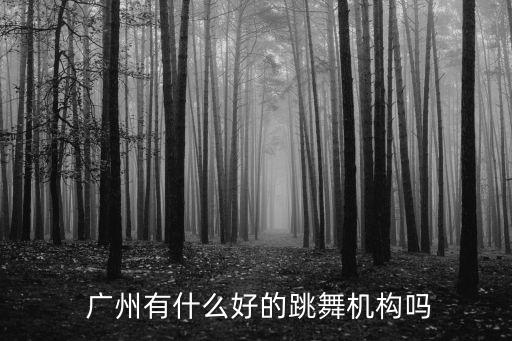广州哪里学舞蹈好,广州最正规的学舞蹈的地方