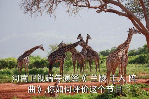 河南卫视端午演绎《 兰陵 王入 阵曲》,你如何评价这个节目