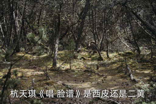 杭天琪《唱 脸谱》是西皮还是二黄