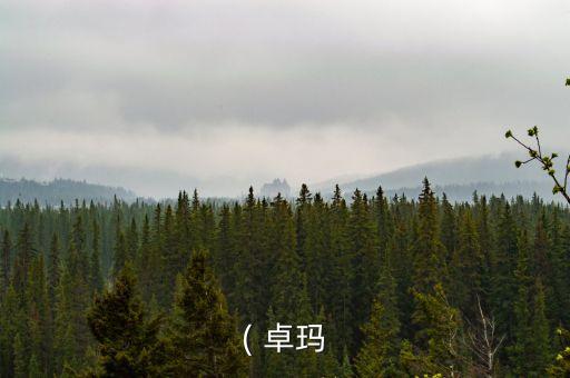 美丽的姑娘卓玛拉舞蹈,降央卓玛美丽的姑娘卓玛拉