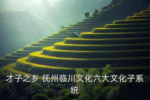 抚州学舞蹈,抚州舞蹈培训机构