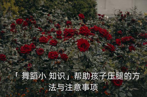 糖豆舞蹈知识小集锦