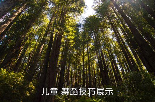 儿童 舞蹈技巧展示