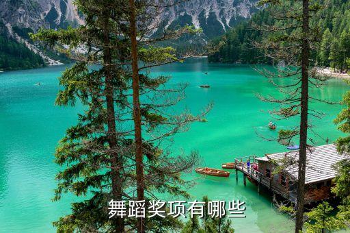  舞蹈奖项有哪些