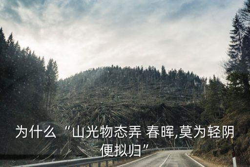 为什么“山光物态弄 春晖,莫为轻阴便拟归”