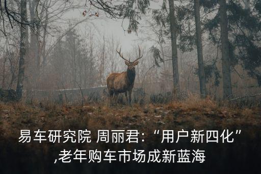 易车研究院 周丽君:“用户新四化”,老年购车市场成新蓝海