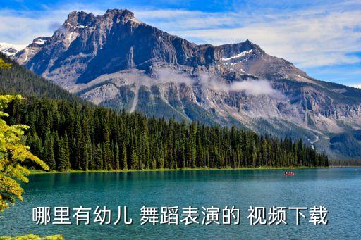 少儿大型舞蹈视频,少儿舞蹈视频大全100首
