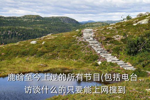 鹿晗至今上过的所有节目(包括电台、访谈什么的只要能上网搜到