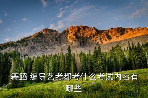 舞蹈编导知识