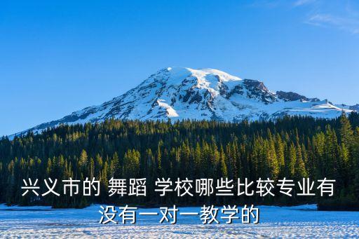 兴义市的 舞蹈 学校哪些比较专业有没有一对一教学的