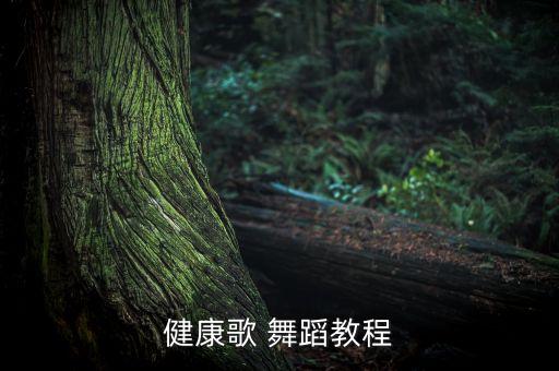 健康歌 舞蹈教程