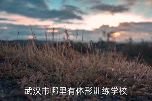 湖北体育舞蹈11套恰恰,大学生体育舞蹈恰恰教学视频
