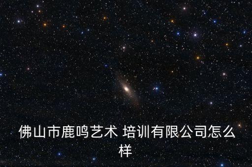  佛山市鹿鸣艺术 培训有限公司怎么样