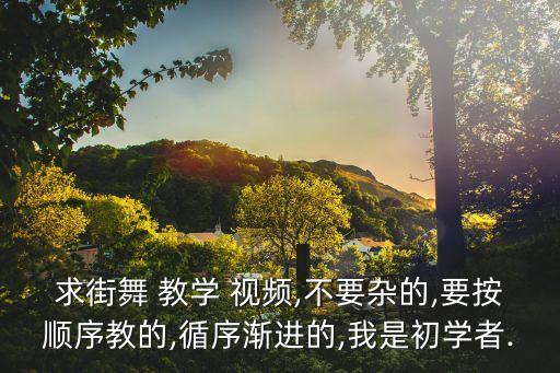 求街舞 教学 视频,不要杂的,要按顺序教的,循序渐进的,我是初学者.