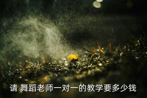 请 舞蹈老师一对一的教学要多少钱