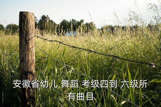 六级舞蹈考级