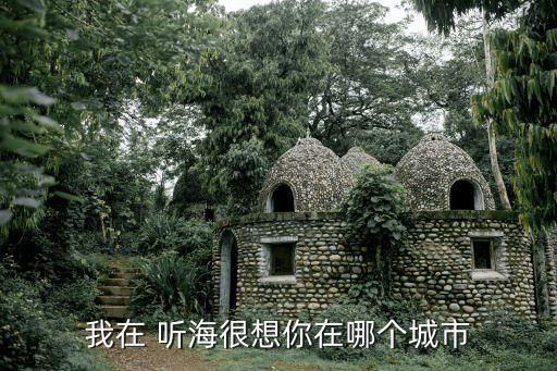 舞蹈教学《听海》,舞蹈《听海》表达了什么