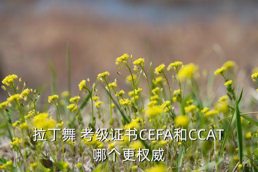 山东省体育舞蹈协会 考级,成都市体育舞蹈协会考级证书查询