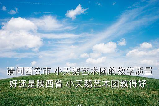 请问西安市 小天鹅艺术团的教学质量好还是陕西省 小天鹅艺术团教得好...