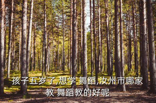 红红的中国舞蹈优酷