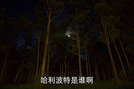 水中草舞蹈金妮,舞蹈水中草讲述了什么内容
