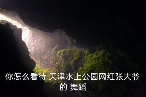 你怎么看待 天津水上公园网红张大爷的 舞蹈