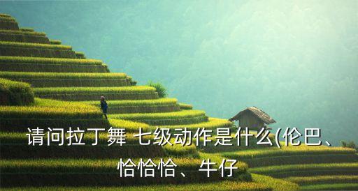 请问拉丁舞 七级动作是什么(伦巴、恰恰恰、牛仔