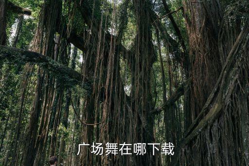 广场舞就爱舞蹈网