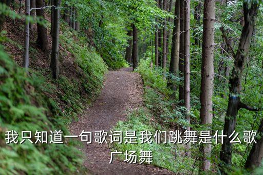 我只知道一句歌词是我们跳舞是什么歌广场舞
