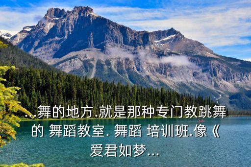 ...舞的地方.就是那种专门教跳舞的 舞蹈教室. 舞蹈 培训班.像《爱君如梦...