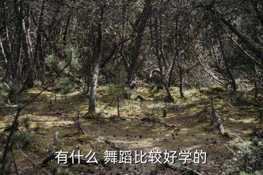 有什么 舞蹈比较好学的