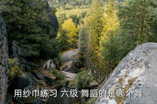 用纱巾练习 六级 舞蹈的是哪个舞