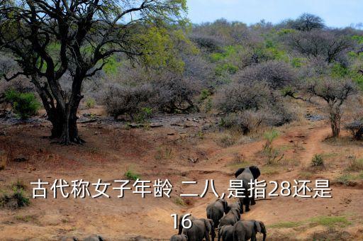 古代称女子年龄 二八,是指28还是16