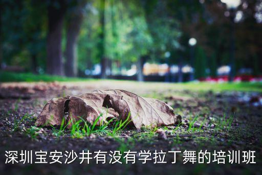港龙舞蹈是连锁,深圳港龙舞蹈怎么样
