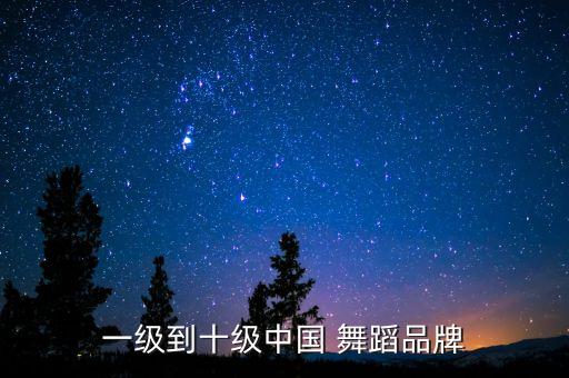 一级到十级中国 舞蹈品牌