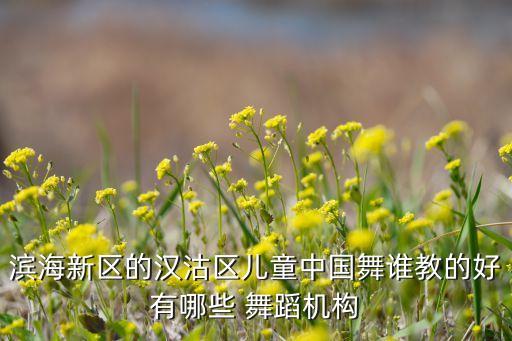 滨海新区的汉沽区儿童中国舞谁教的好有哪些 舞蹈机构