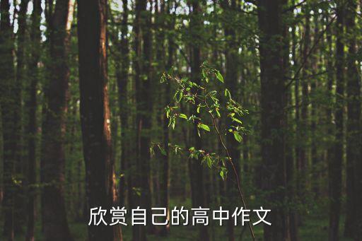 为自已鼓掌舞蹈,youspinmeround鼓掌舞蹈
