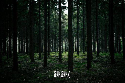 跳跳(