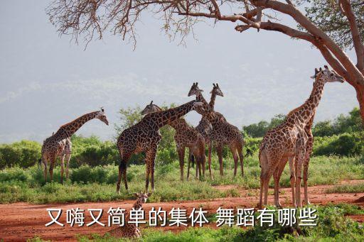 又嗨又简单的集体 舞蹈有哪些